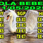 gambar-syair-polabebek-11-Mei-2025